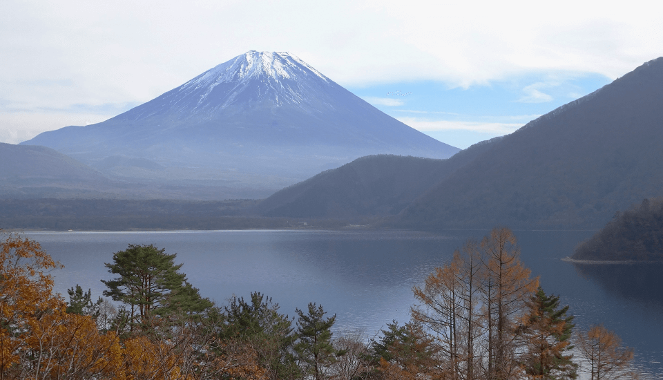 東前院の歴史